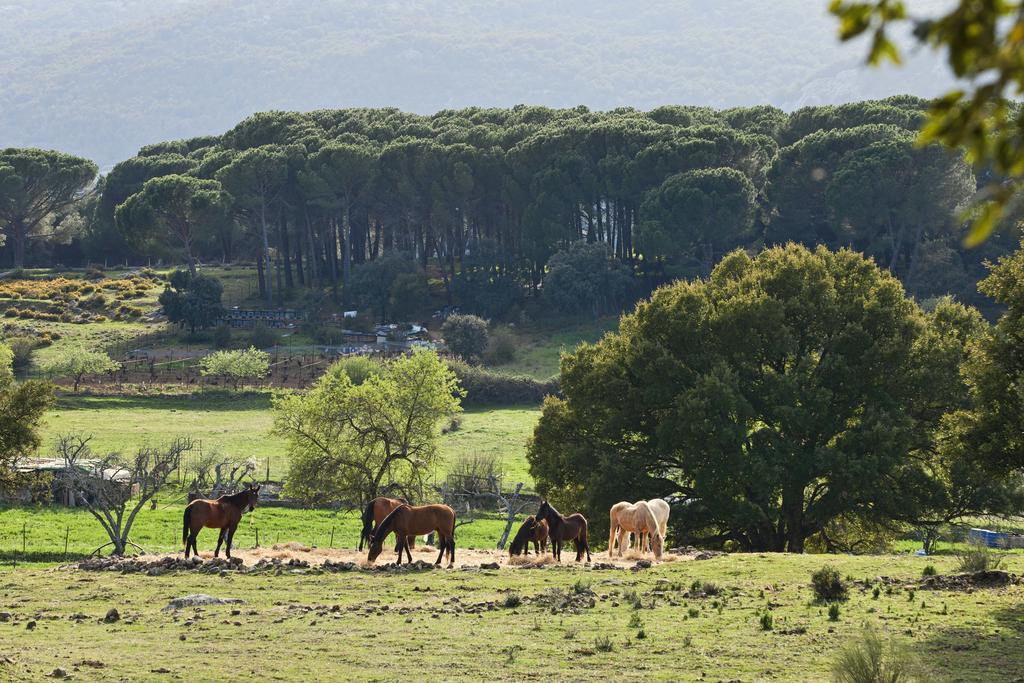 Tambor Del Llano Vila Grazalema Exterior foto